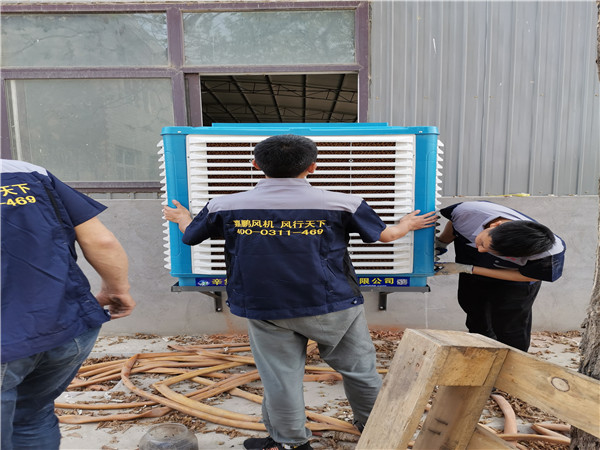 1607682305557046.jpg 2614572a1c28117bc543409559e13b1.jpg